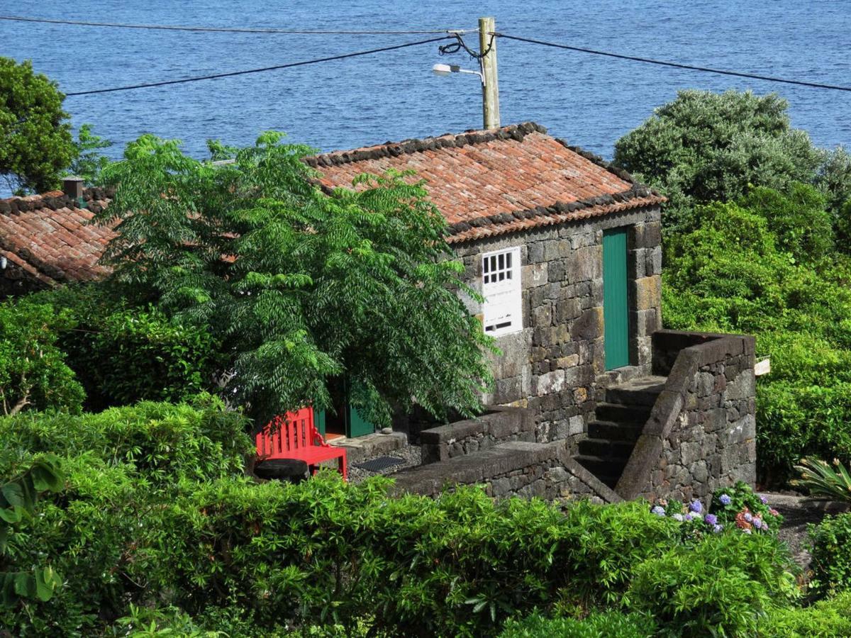 Terra AltaCasa Adega Alto Do Passinho别墅 外观 照片
